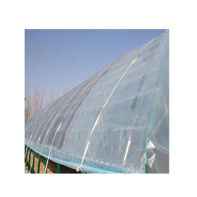 China Easily Assembled Agriculture Multi-Span Arch Plastic Sheet Greenhouse Tomato Greenhouse and Strawberry Greenhouse Turnkey Project for sale