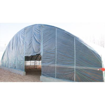 China Green House Green Frame Greenhouse Low Cost Vegetables Greenhouse Modern Single-span Greenhouse for sale