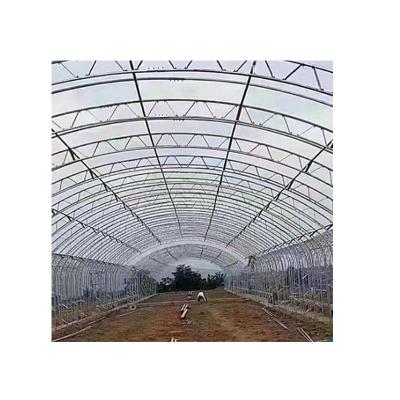 China Poly Mesh Cloth Garden Green House Popular Agriculture Greenhouse Easily Assembled Tunnel Greenhouse for sale