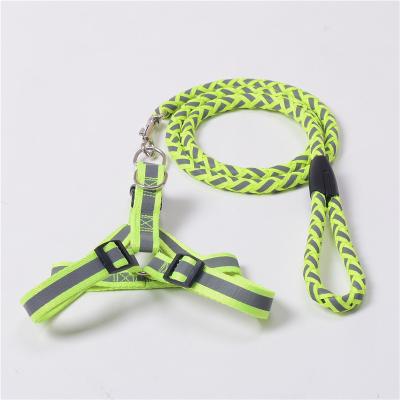 China 2022 Hot Selling Pet Tool Reflective Soft Grip Nylon Rope Dog Harness Walking Set for sale