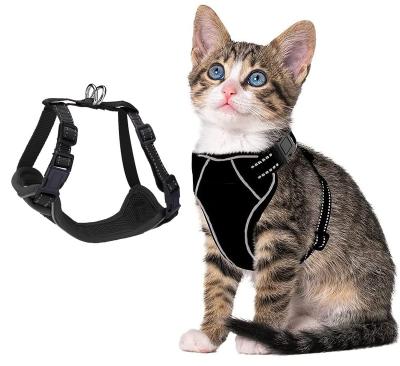 China Custom Factory Direct Pet Supplies Hot Selling Custom Durable Indoor Outdoor Dog Harness for sale