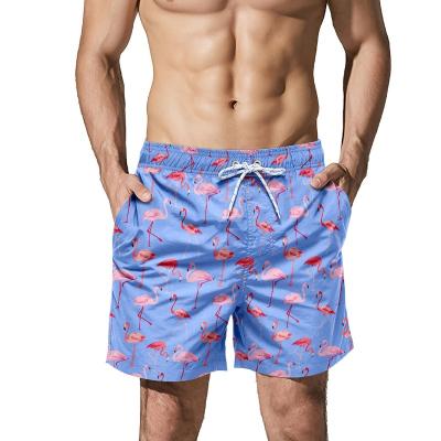 China Anti-Wrinkle Shorts Flamingos Trendy Stretchy Sublimated Surfing Blue Panel Shorts Summer Vacation Custom Swim Trunks ST-ANM04 Wholesale for sale