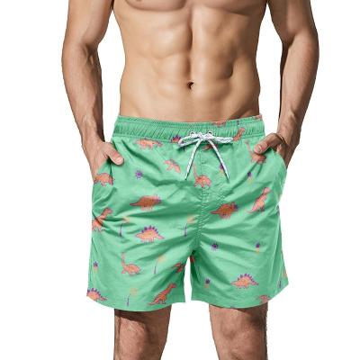 China Anti-wrinkle New Design Fashion Custom Logo Male Summer Vacation Beach Board Swim Trunk Shorts Animal Dinosaur Style with Polyester ST-CART01 for sale