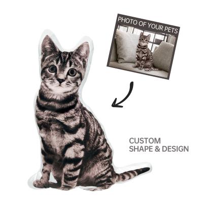 China Anti-Static Personalized Custom Photo Pillow Plushie Cute Animal Shaped 3D Printing Polyester Fiber Pillow Pet Design Cushion Pillow for sale