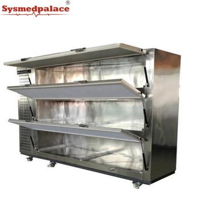 China Factory Style Supply 3 Side Door Mortuary Body Freezer Arabian Mortuary Body Embalming Refrigerators for sale