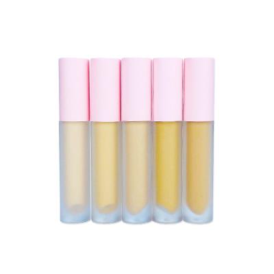 China Liquid Concealer 5 Colors Private Label Moisturizer Face Makeup Concealer Pencil For Face for sale