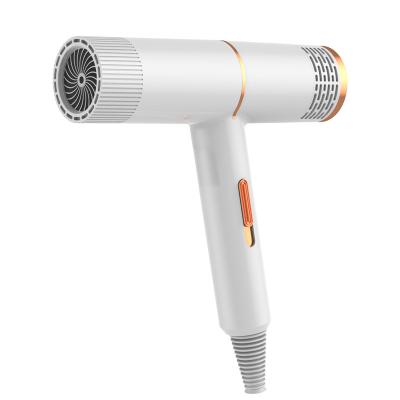 China RLY-WHMV02 New Concept Ionic T Shape Salon 1000W Negative Ion High Speed ​​Hair Dryer for sale