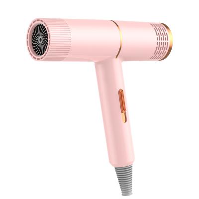 China Ionic factory hot sale 1000W negative t-shaped hair dryer new for hotel home salon professional for sale