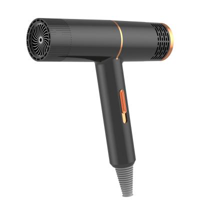 China New T Type 2022 Negative Ion 1000W Black Ion Hair Dryer for sale