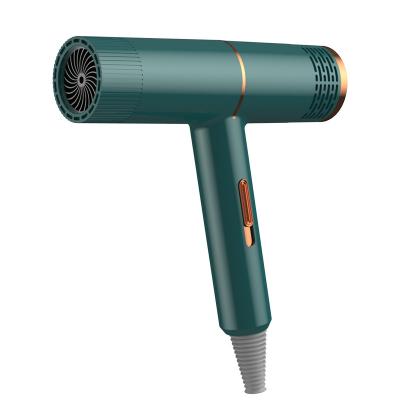 China 2022 Hot Selling Ionic Professional Hair Dryer 1000W Negative Dark Green Salon Home Hair Dryer Hotel Ion 2022 for sale