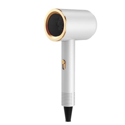 China 2022 New Fashion Hot Sale 1250W Ionic Straight Hair Negative Ion Home Travel Hair Dryer for sale