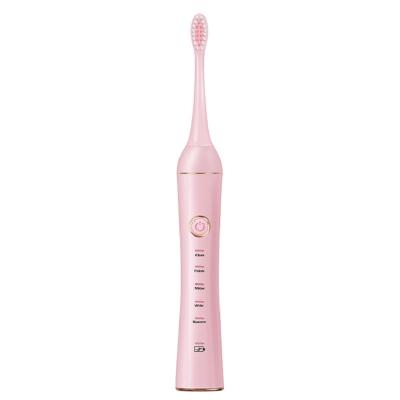 China 3 Frequency Modes New Cleaning Teeth Whitening Base Sonic Toothbrush Cheap Rechargeable Automatic Electric Toothbrush Gum Care Adult for sale