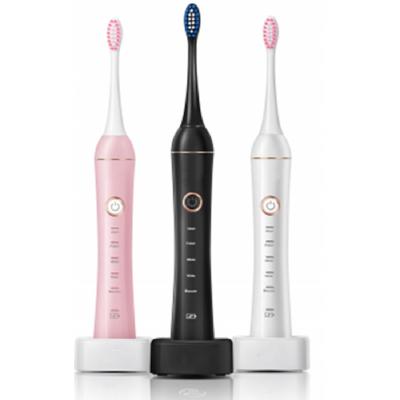 China 5 Frequency Modes Cleaning Adult Deep Cleaning Teeth Whitening USB Rechargeable Electric Toothbrush Cheap Electric Toothbrush for sale