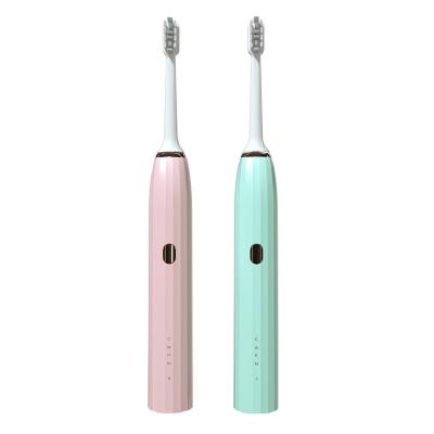 China 4 Frequency Cleaning Modes Waterproof Oral Care USB Rechargeable Battery Sonic Electric Toothbrush Powered Vibrate Automatic Sonic Electric Toothbrush for sale