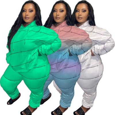 China Sustainable Sustainable Autumn Plus Size Two Piece Pants Set For XL-5XL Women Solid Clothing Plus Size 2 Piece Set Autumn Hooded Clothing for sale