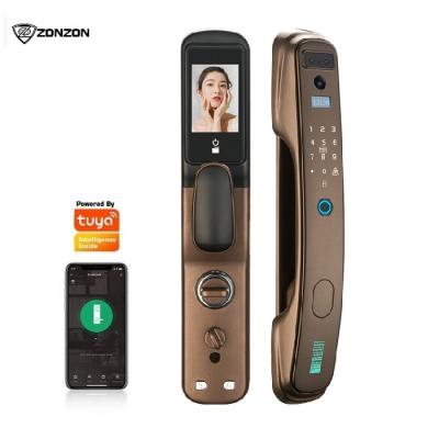 China Home/Villa/Apartment Push And Pull Full Automatic Face Recognition Lock R9 for sale