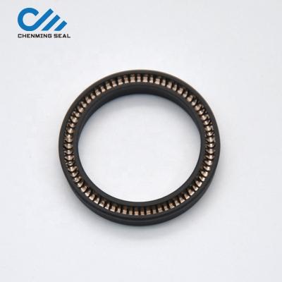 China Pneumatic Hydraulic/Oil 22*28*4 PTFE Spring Activated Rod Seal Pneumatic Piston Seal 22x28x4 for sale