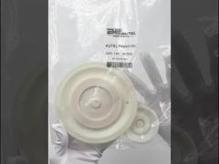 Pulse Valve Diaphragm