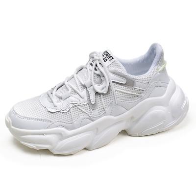 China Sports Factory Active Professional Sneaker Breathable Men Sport Running Shoes for sale