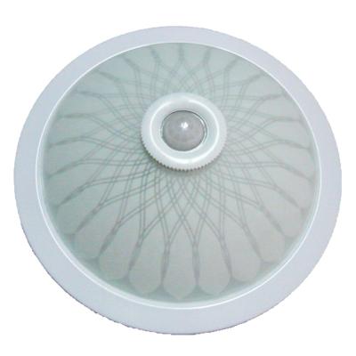 中国 Sports Stadiums PIR Lighting Hot Selling Motion Sensor Ceiling Light Indoor/Outdoor Battery Powered Outdoor LED Ceiling Mounted Lamp 販売のため