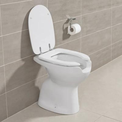 China Other Open Front Pan Disabled Care WC Sanitary Accessible Cabinet Disabled Persons Assist Toilet for sale