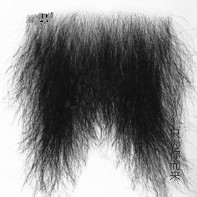 China Beautiful Silky Straight Wave Hair Wholesale Black Pubic Hair For Male for sale