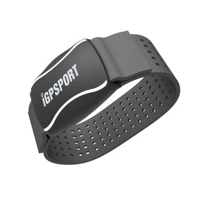 China iGPSPORT HR60 ANT+ BLE 4.0 Arm Heart Rate Monitor Heart Rate Monitor Outdoor Sports Fitness Running MTB Road Bicycle Cycling Computer for sale