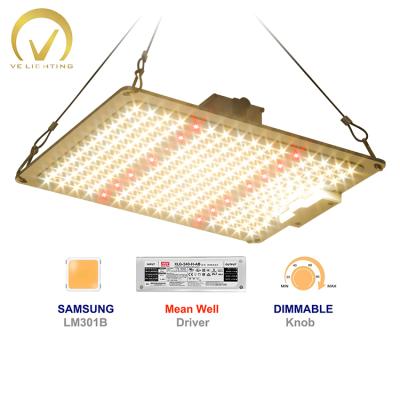 China Seed Starting PPFD Lm301b Lm301h Sunlike Full Spectrum High IR 100w LED Grow Light For Indoor Plants Breeding for sale