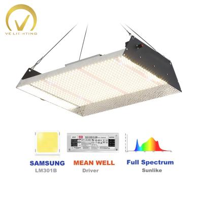 China Seed Starting OEM ODM 100w 200w 300w 400w Indoor Herbal Medicines Full Spectrum Led To Grow Light for sale