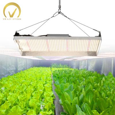 China Seed starting Dimmable lm301b grow light full spectrum vertical hydroponic growing led grow lamp for vertical grow for sale