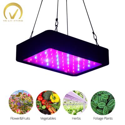 China Seed Starting Lm301h Red And Blue Led Plant Grow Light Easy Installation Lm301b Plant Grow Light for sale