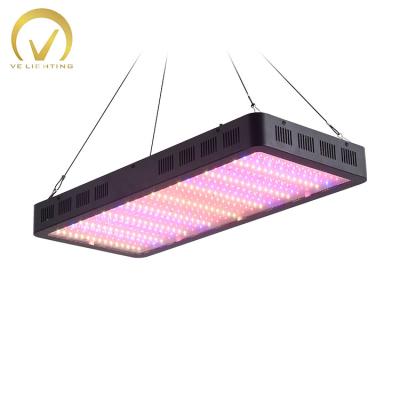 China Seed Starting Professional Design Indoor Hydroponics LED Grow Light For Greenhouse Houseplant Veg And Flower for sale