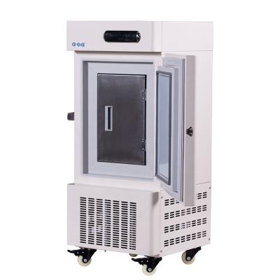 China Medical Equipments Mini Ultra Low Temp -80 Amount Cryogenic Freezer For Lab for sale