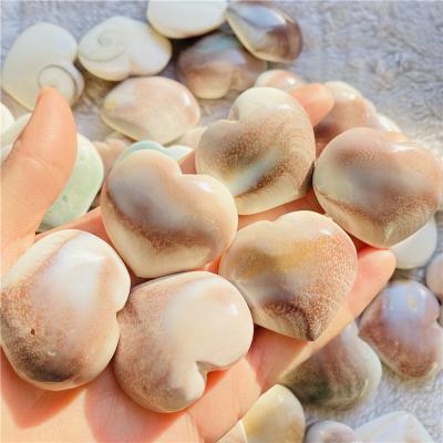 China China Wholesale Price Specimen Natural Mineral Heart Form Shell Conch Fossils For Sale for sale