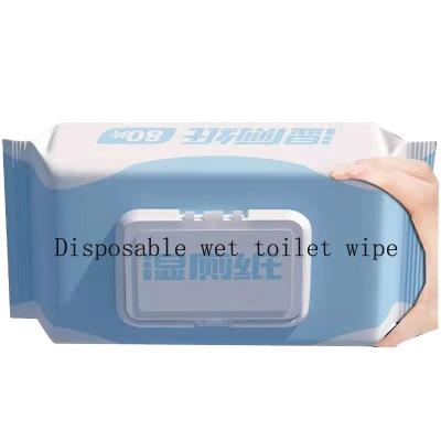 China Factory Wholesale Flushable Soft Disposable Towel Toilet Wet Paper Towels for sale