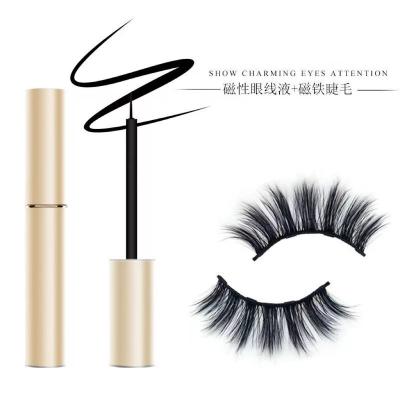 China 2022 New Arrival Natural Invisible Magnetic Eyelash Loop Wick Eyeliner Magnet Silk Lashes Shape Trend Eyelash Volume for sale