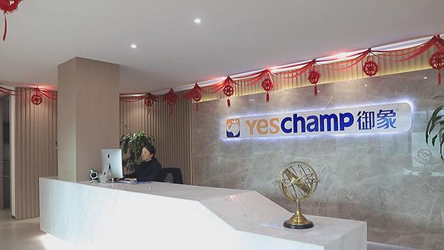 Verified China supplier - Yeschamp Imp & Exp (taizhou) Co., Ltd.