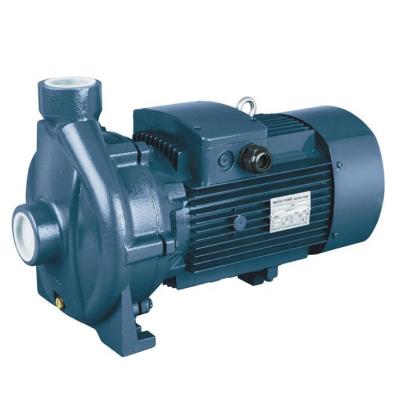 China Industrial Utilities Thread PC Pump Series Port End-coupled Centrifugal Pump Manufacturing for sale