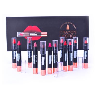 China Vgean Private Label Makeup Beauty Waterproof Lasting Lip Gloss Long Lasting Lipstick 12 Colors One Pencil Set Lipstick Pencil for sale