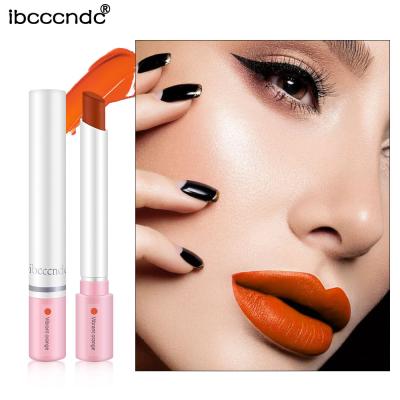 China Waterproof Lipstick Matte Smoke Makeup Lip Stick Cosmetic Designs OEM for sale