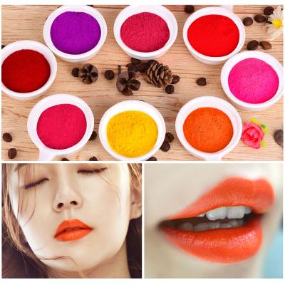 China Waterproof Long Lasting Lip Gloss 38-65 Colors Pigment Powder Gloss Dye Lip Gloss Making Kit Long Lasting Lips Makeup Diy Lipstick Lip Gloss Material for sale