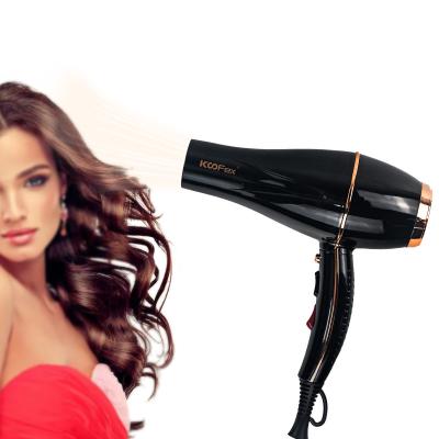 China Antifrizz Multiscene Salon Quality Blow Dryer 220 Volt Reusable Adjustable Speed for sale