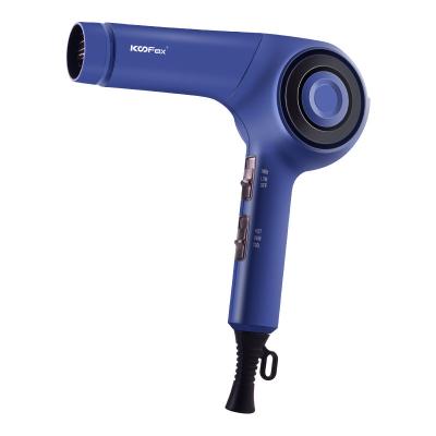 China Portable Home BLDC Motor Hair Dryer Practical Negative Ionic for sale