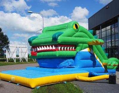 China PVC Factory Outlet Inflatable Crocodile Vivid Slide for sale