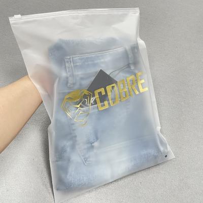 China Custom Printing PE Eco Friendly Sustainable Waterproof Clear Swimwear BIODEGRADABLE Frosted Plastic Clothing Ziplock Bag PVC Zipper Packaging Bag for sale