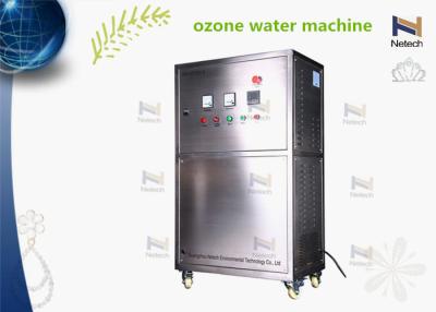 China 1T 2T Water Ozone Generator , Ozonator Water Making Machine In Drinking Water for sale