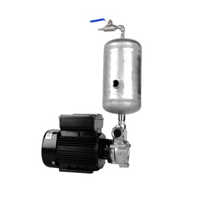 China Ozone Mixing Pump For Water Ozone Generator for sale