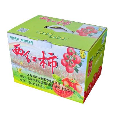 China Durable Customized Cardboard Paper Gifts Recyclable Packing Shipping Cardboard Custom for sale