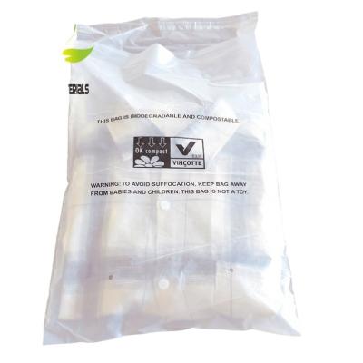 China 100% biodegradable and compostable; ASTM D6400 AS4736 EN13432 Eco - Friendly Biodegradable Clear Plastic Shoe Bag for sale