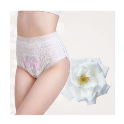 China Super Absorbency Super Absorbent Overnight Menstrual Panties Panties Pants Disposable Sanitary Napkin Type for sale